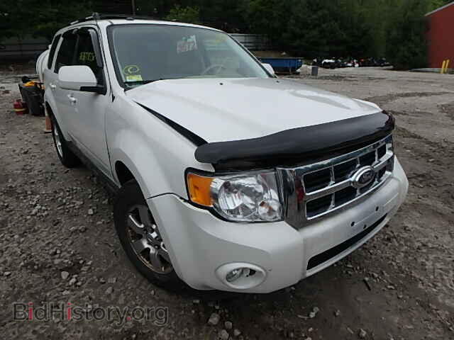Photo 1FMCU9EG3BKB35813 - FORD ESCAPE 2011