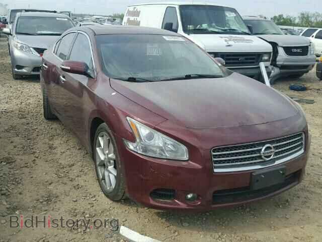 Фотография 1N4AA5AP7AC803257 - NISSAN MAXIMA 2010