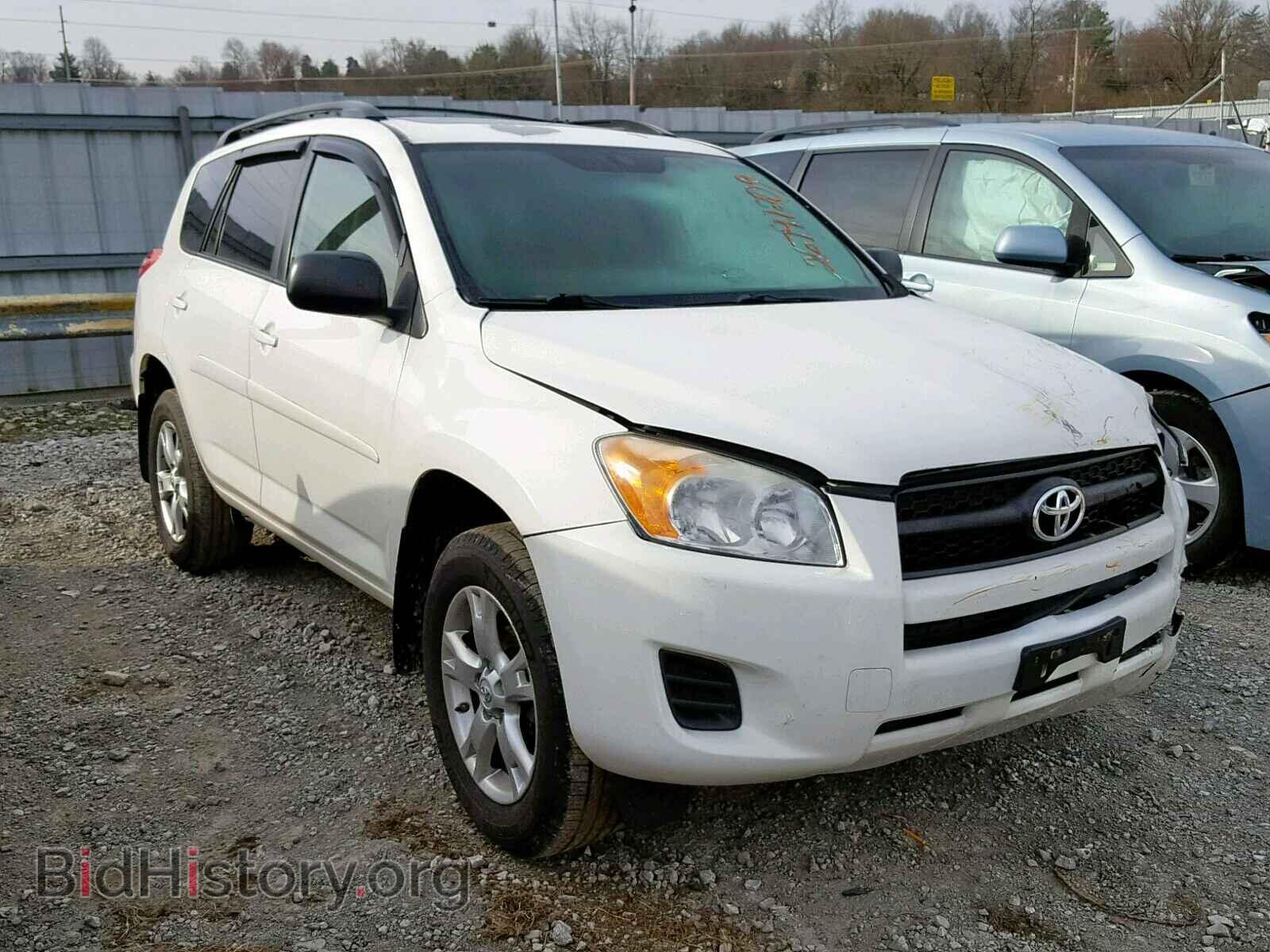 Фотография 2T3BF4DV4BW108284 - TOYOTA RAV4 2011