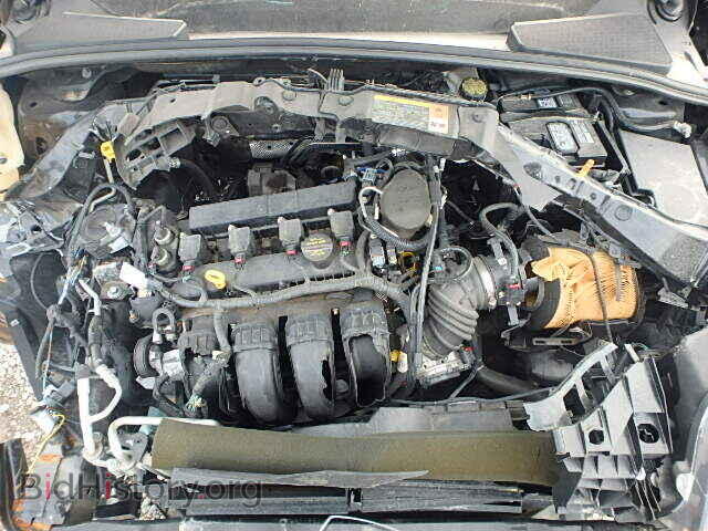 2013 FORD FOCUS - VIN: 1FADP3N25DL369049 - Фото 7