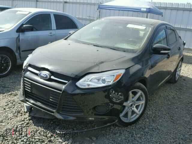 2014 FORD FOCUS - VIN: 1FADP3F25EL461990 - Фото 2