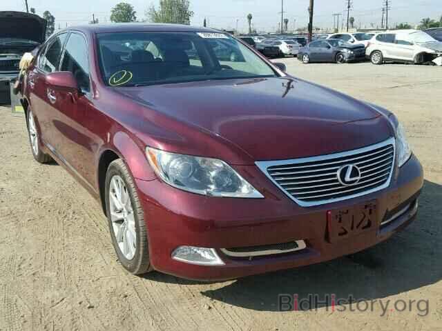 Фотография JTHBL46F295091399 - LEXUS LS460 2009