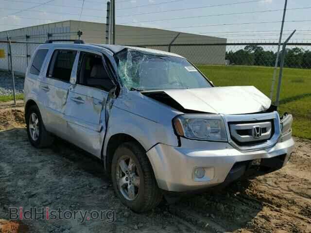 Фотография 5FNYF38599B020961 - HONDA PILOT 2009