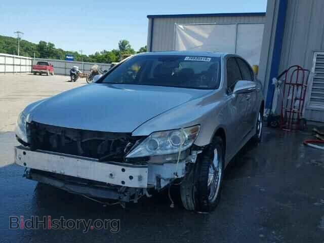 2010 LEXUS LS460 - VIN: JTHBL5EF1A5098016 - Фото 2