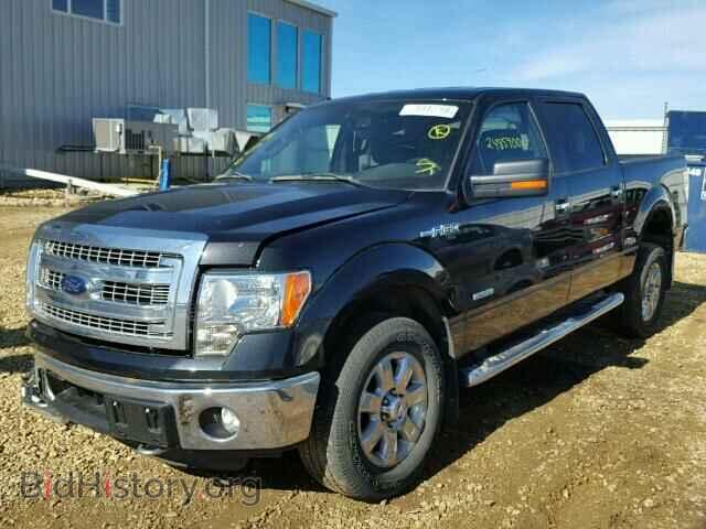 2014 FORD F150 - VIN: 1FTFW1ET2EFC45436 - Фото 2