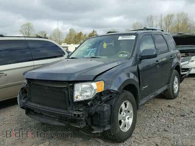 2009 FORD ESCAPE - VIN: 1FMCU59329KA78949 - Фото 2