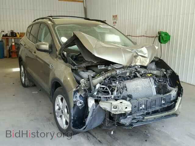 Фотография 1FMCU0GX7DUD82106 - FORD ESCAPE 2013