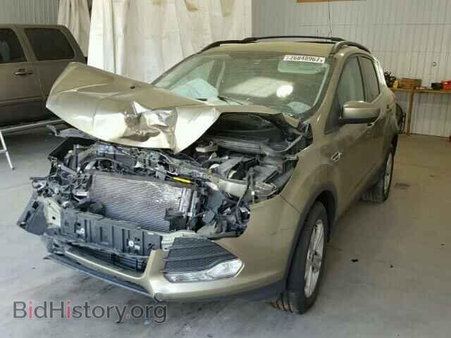 2013 FORD ESCAPE - VIN: 1FMCU0GX7DUD82106 - Фото 2