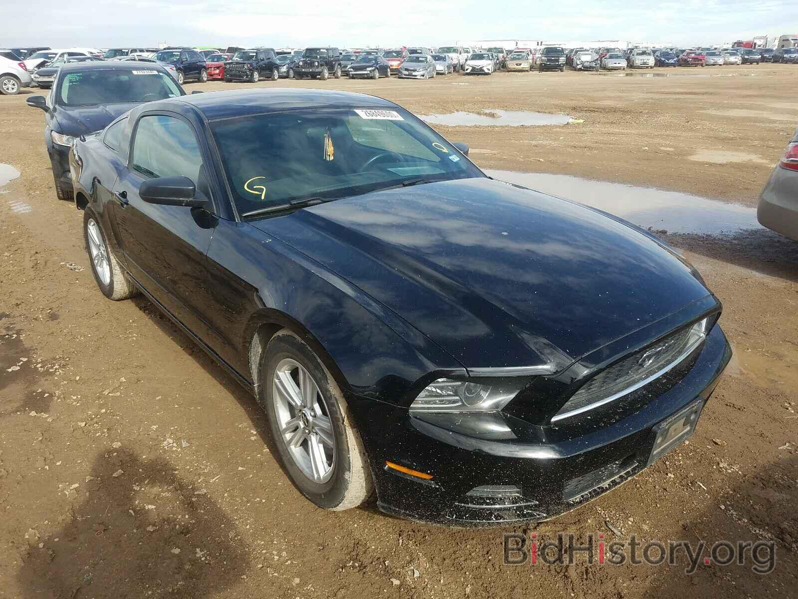 Photo 1ZVBP8AM4E5266049 - FORD MUSTANG 2014