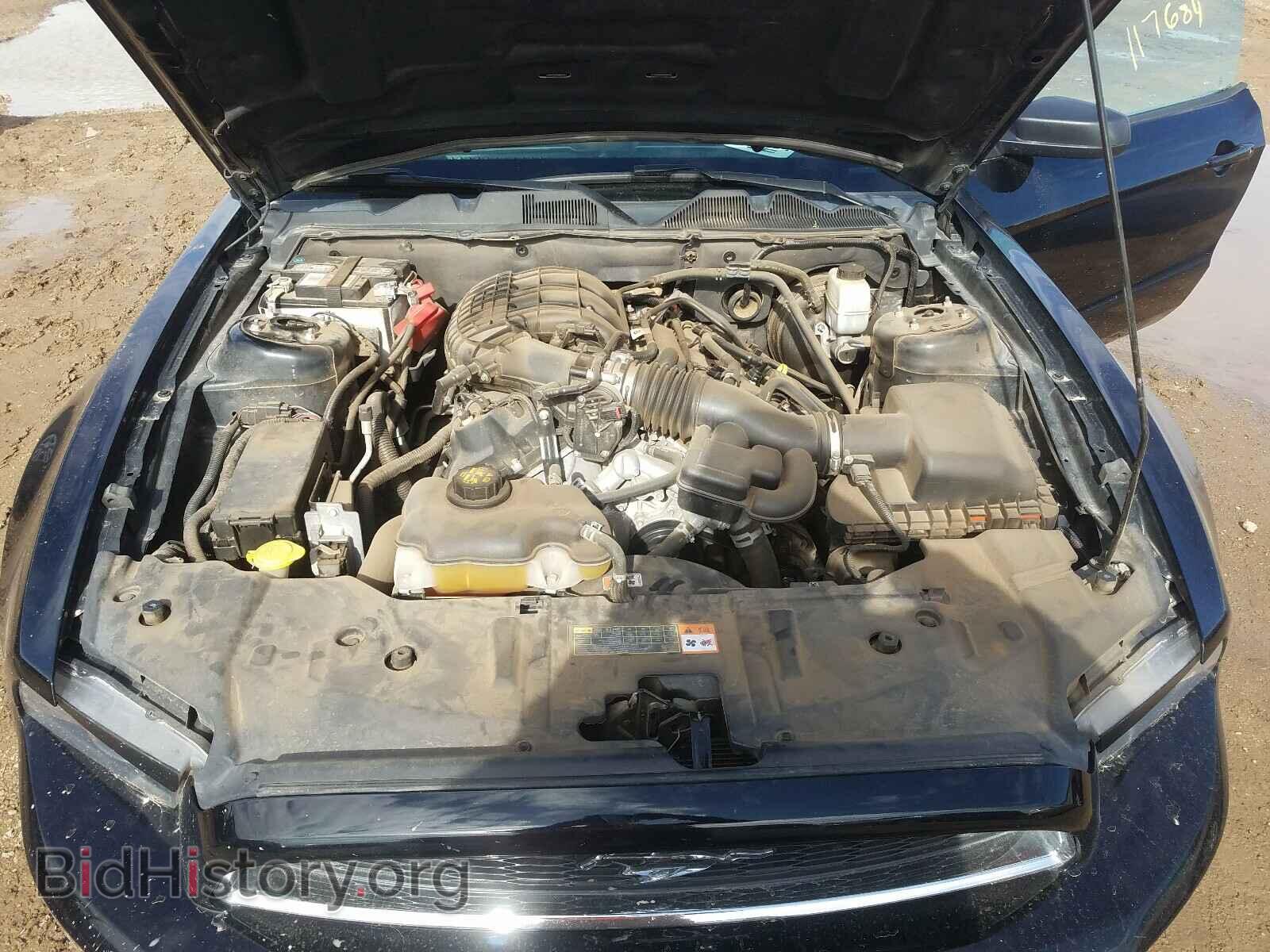 2014 FORD MUSTANG - VIN: 1ZVBP8AM4E5266049 - Фото 7