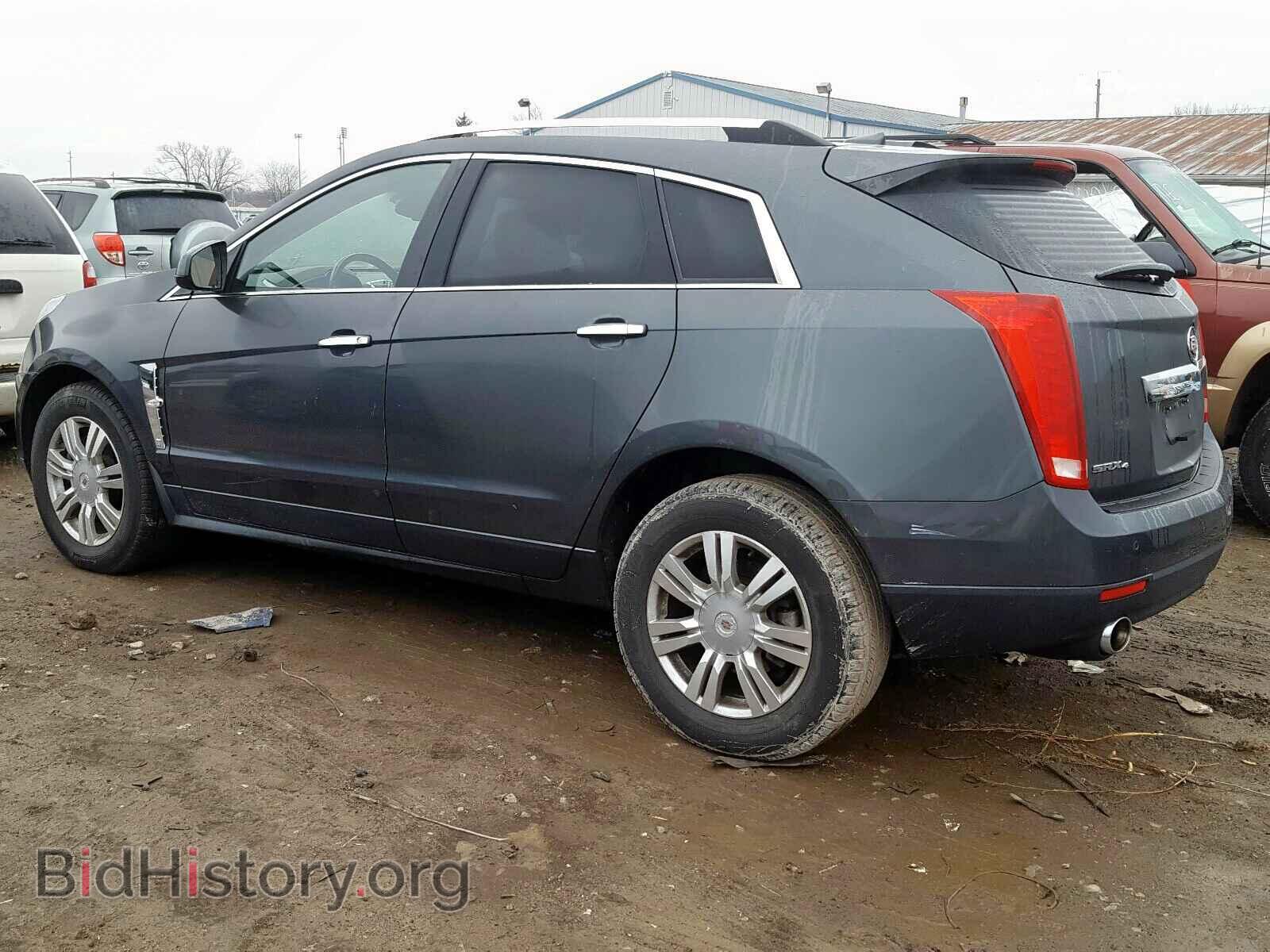 2010 CADILLAC SRX - VIN: 3GYFNDEY2AS645349 - Фото 3