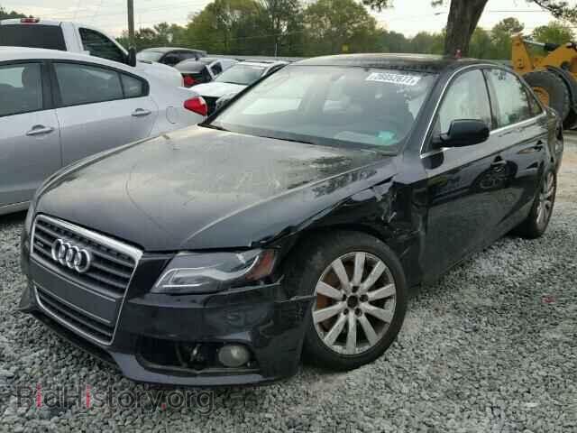 2010 AUDI A4 - VIN: WAUFFAFL8AN019901 - Фото 2