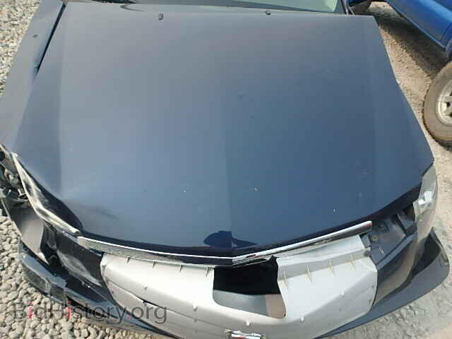 2007 CADILLAC CTS - VIN: 1G6DP577970162476 - Фото 7