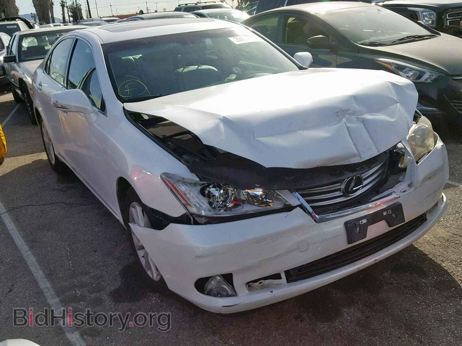 Photo JTHBK1EGXA2372836 - LEXUS ES350 2010