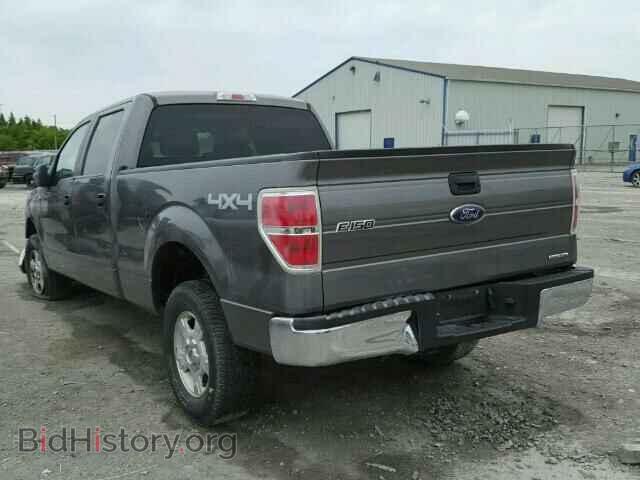 2014 FORD F150 - VIN: 1FTFW1EF2EFC36679 - Фото 3
