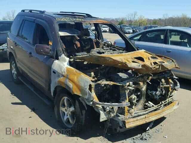 Photo 5FNYF187X8B009732 - HONDA PILOT 2008