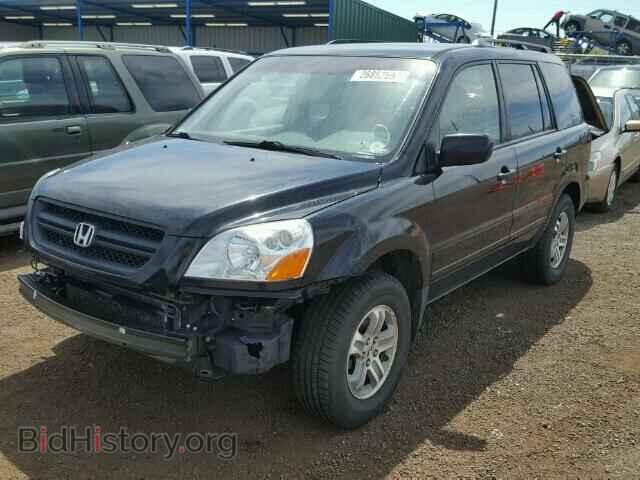 2005 HONDA PILOT - VIN: 2HKYF184X5H564554 - Фото 2