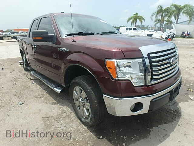 Фотография 1FTEX1C85AFB94452 - FORD F150 2010