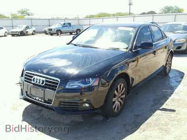 2010 AUDI A4 - VIN: WAUEFBFL3AN007463 - Фото 2