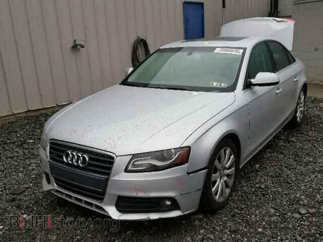 2010 AUDI A4 - VIN: WAUFFAFL7AN067129 - Фото 2