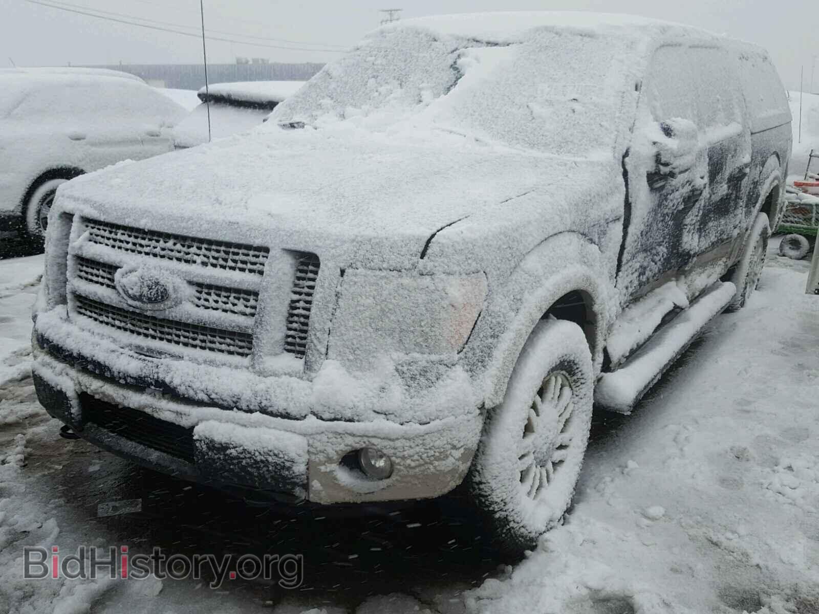 2010 FORD F150 - VIN: 1FTFW1EV9AFA49358 - Фото 2