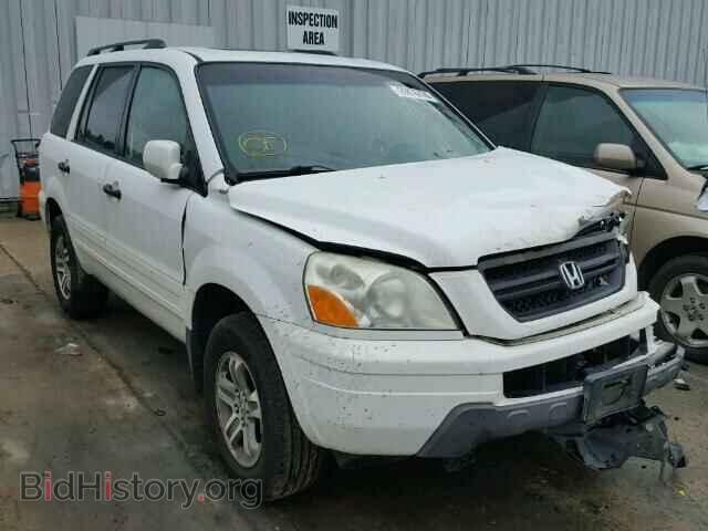 Photo 5FNYF18595B067258 - HONDA PILOT 2005