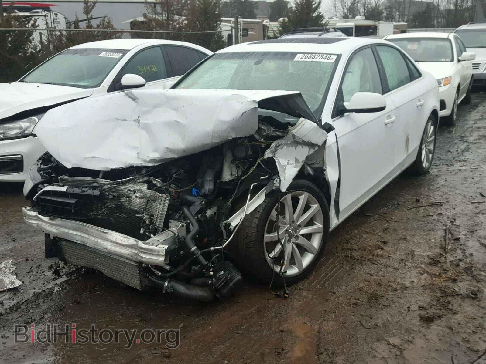 2013 AUDI A4 - VIN: WAUFFAFL0DN036681 - Фото 2