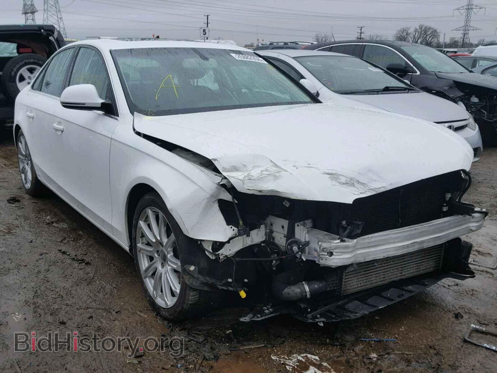 Фотография WAUCF78K49N056207 - AUDI A4 2009