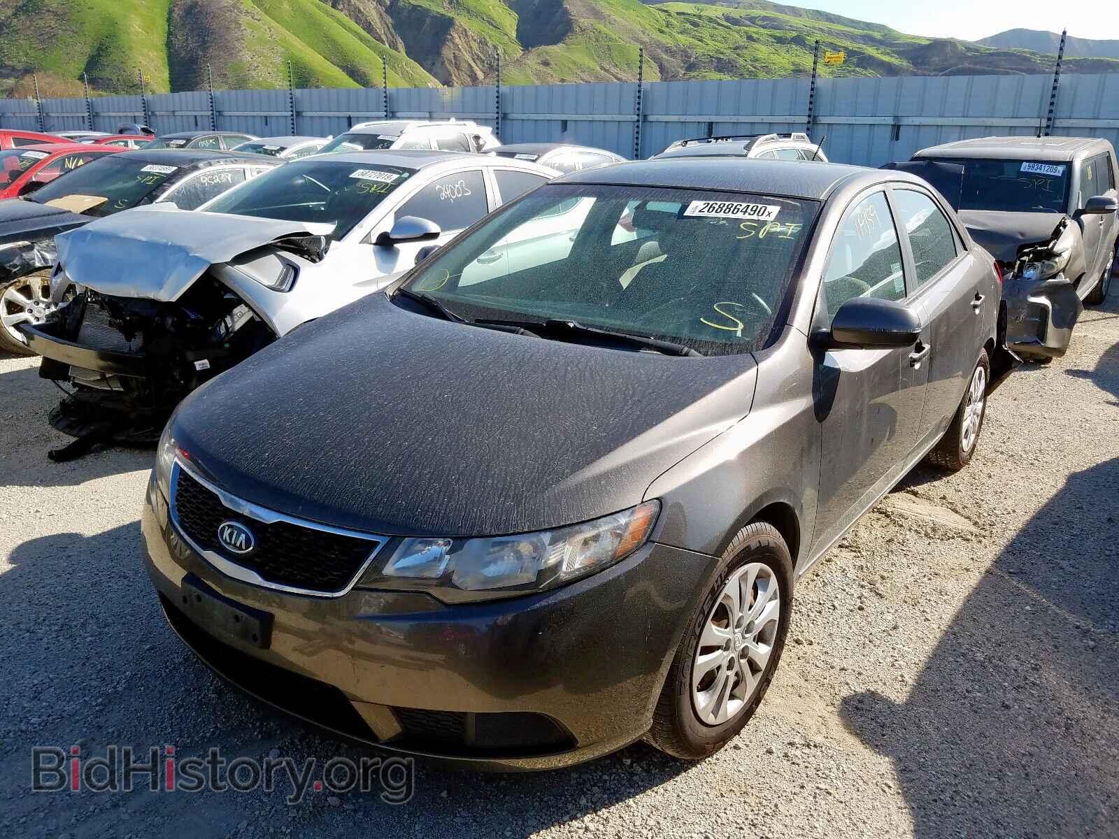 2012 KIA FORTE - VIN: KNAFU4A25C5591677 - Фото 2