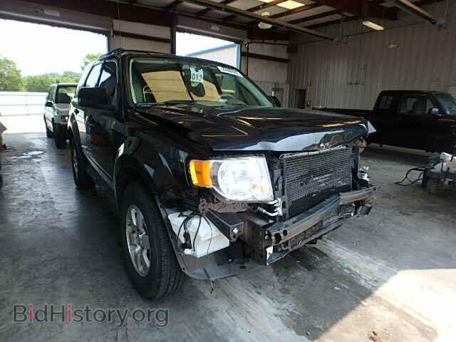 Photo 1FMCU9EG0BKC06272 - FORD ESCAPE 2011