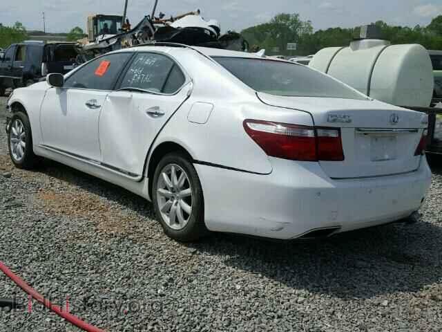 2008 LEXUS LS460 - VIN: JTHBL46F285066890 - Фото 3