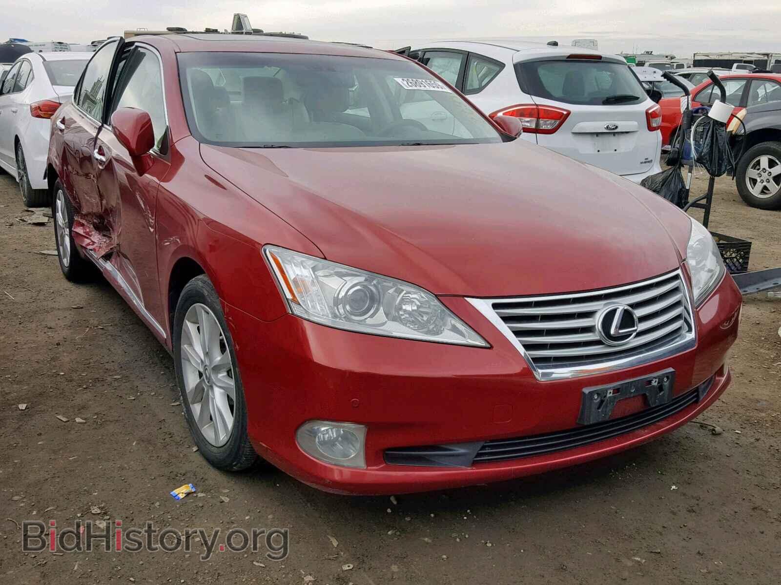Фотография JTHBK1EG5B2431955 - LEXUS ES350 2011