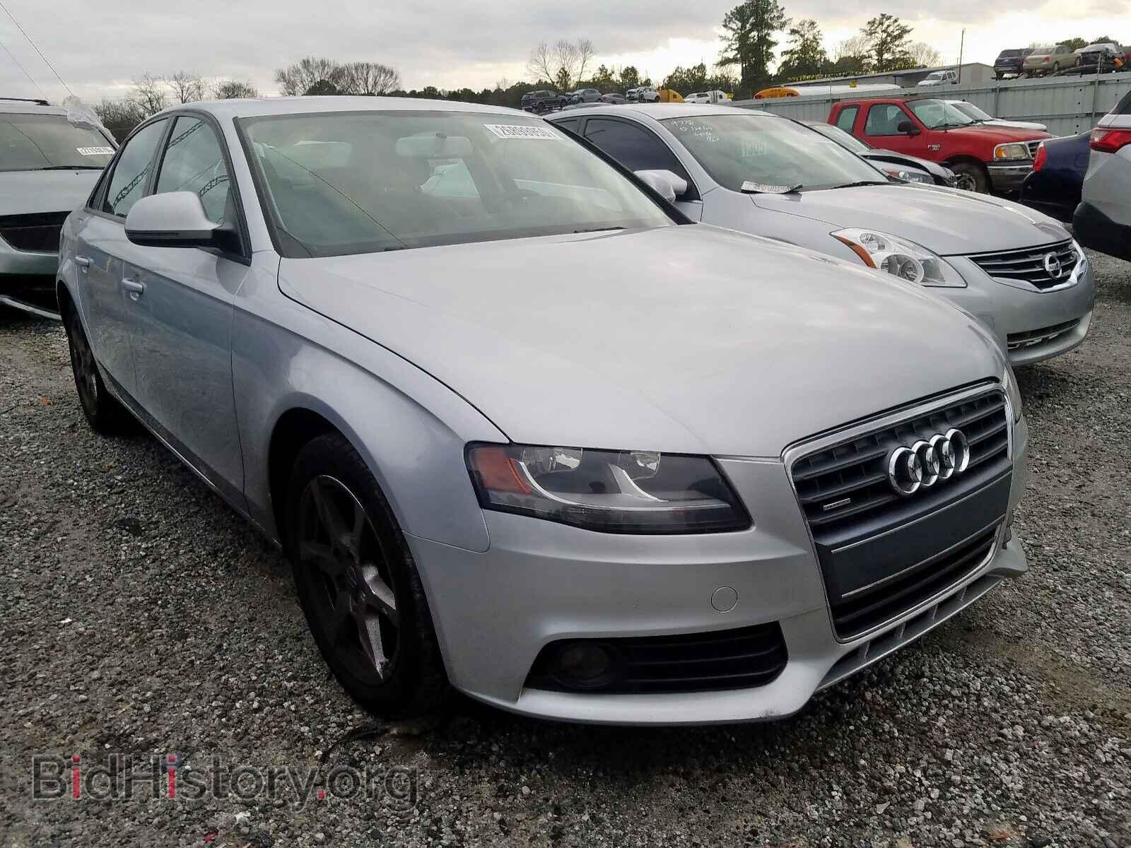 Фотография WAULF78K29N009208 - AUDI A4 2009