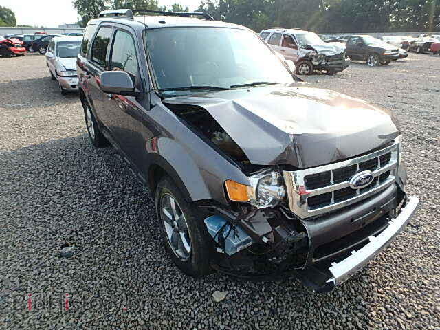 Фотография 1FMCU94G69KB01280 - FORD ESCAPE 2009