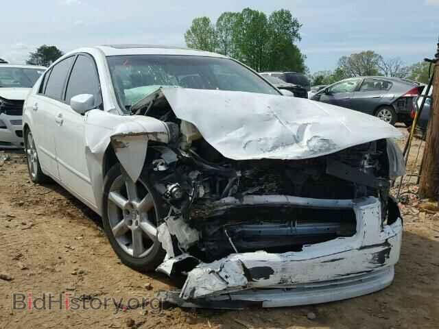 Photo 1N4BA41E16C804196 - NISSAN MAXIMA 2006