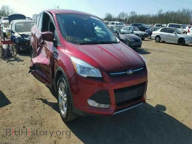 Фотография 1FMCU0GXXDUB65567 - FORD ESCAPE 2013