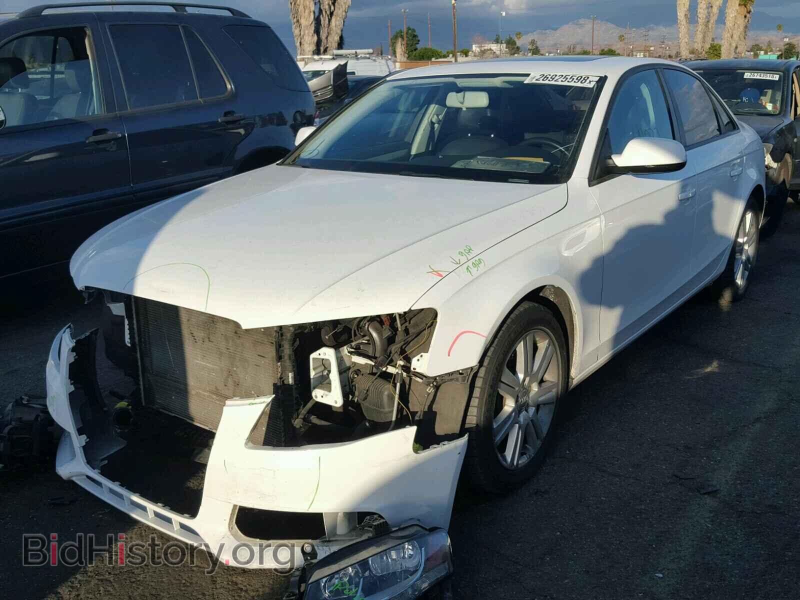 2010 AUDI A4 - VIN: WAUAFAFL7AN007202 - Фото 2