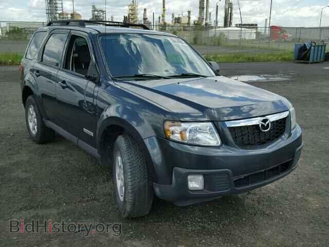 Фотография 4F2CZ02Z98KM27899 - MAZDA TRIBUTE 2008