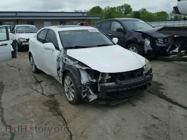 Фотография JTHCK262585018261 - LEXUS IS250 2008