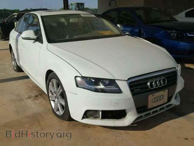 Фотография WAULF78K19N071991 - AUDI A4 2009
