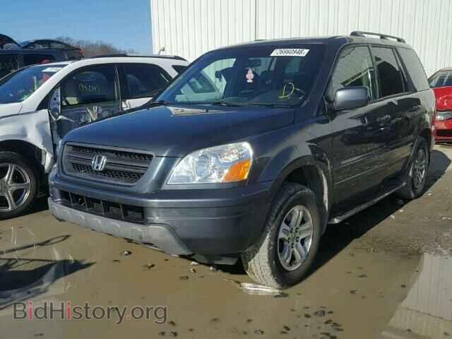 2005 HONDA PILOT - VIN: 2HKYF18765H566344 - Фото 2