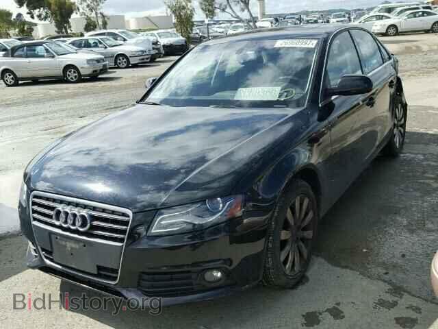 2010 AUDI A4 - VIN: WAUEFAFL1AN010257 - Фото 2