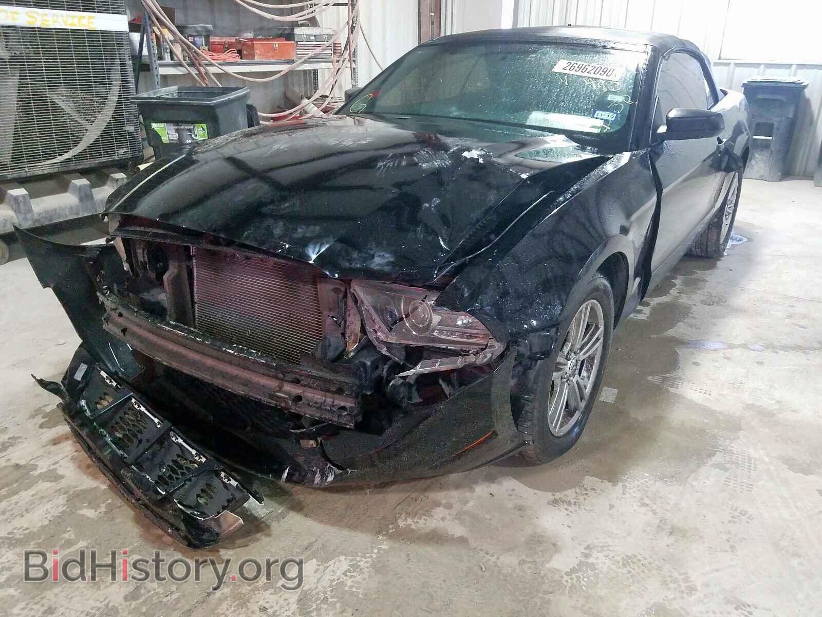 2013 FORD MUSTANG - VIN: 1ZVBP8EM6D5245440 - Фото 2