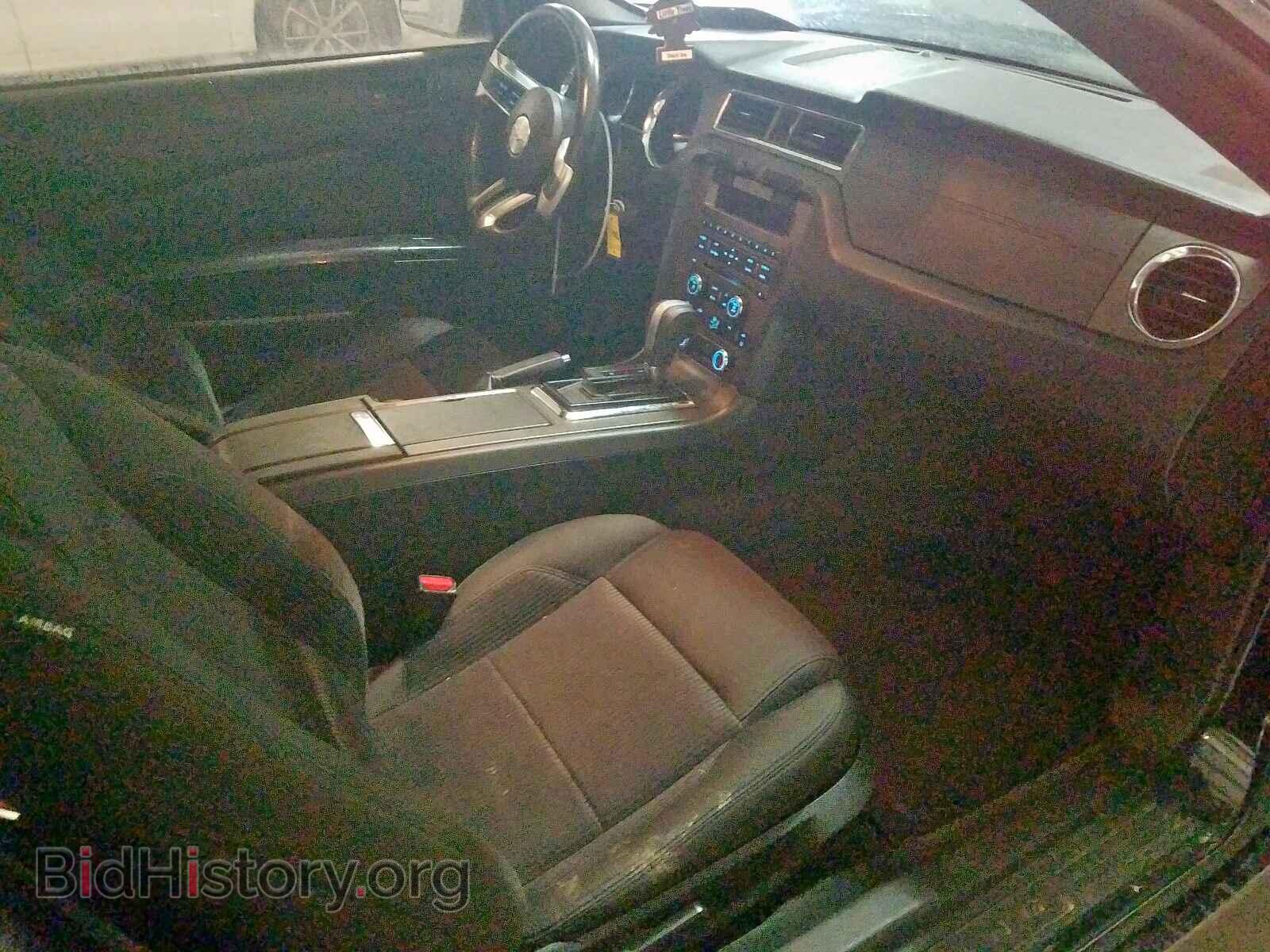 2013 FORD MUSTANG - VIN: 1ZVBP8EM6D5245440 - Фото 5