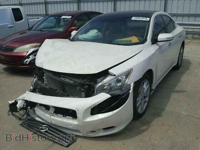 2010 NISSAN MAXIMA - VIN: 1N4AA5AP4AC816399 - Фото 2