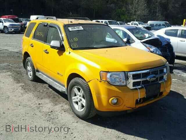 Фотография 1FMCU493X9KD02544 - FORD ESCAPE 2009