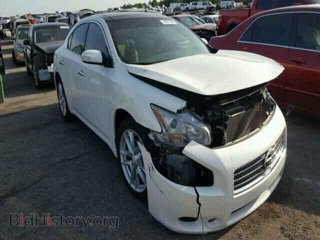 Фотография 1N4AA5APXBC824086 - NISSAN MAXIMA 2011