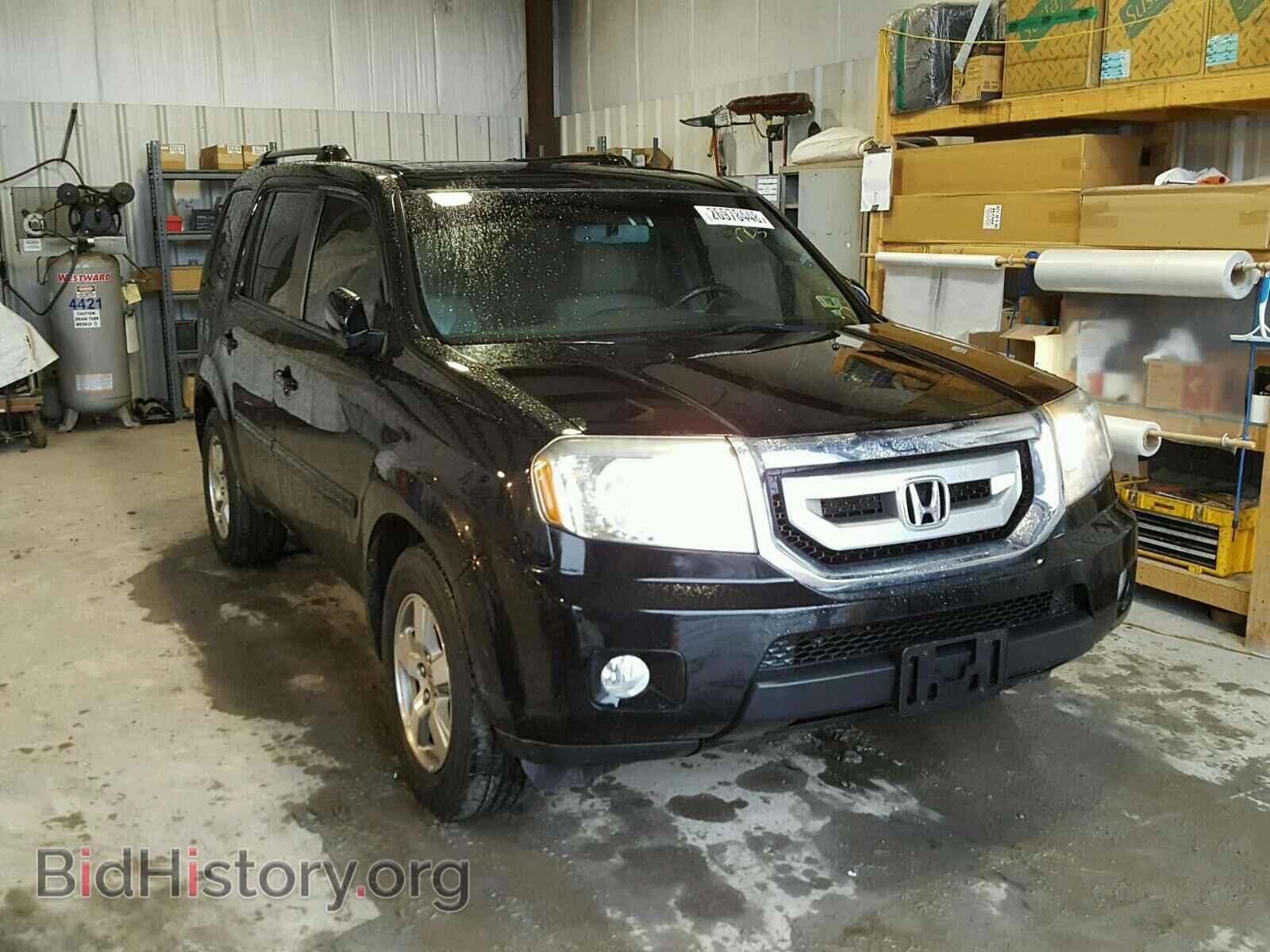 Фотография 5FNYF38549B019961 - HONDA PILOT 2009