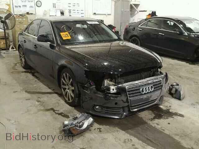 Фотография WAUCF78K29N052933 - AUDI A4 2009