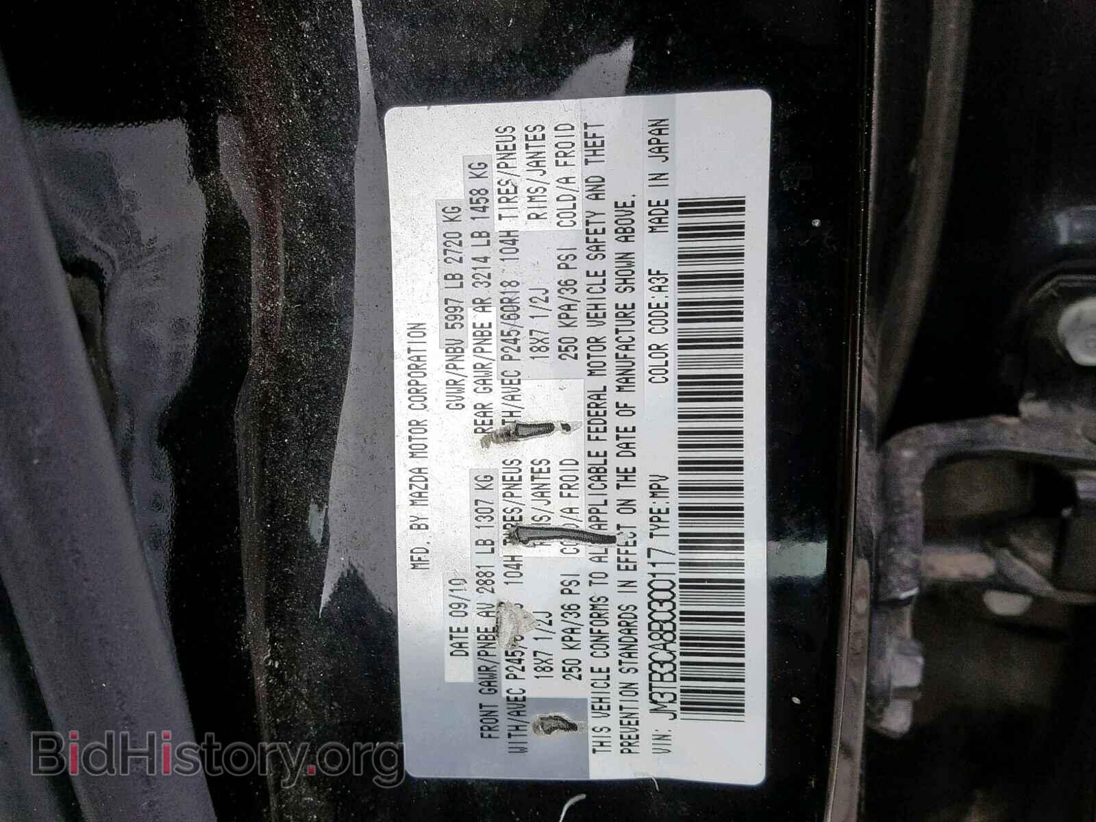 2011 MAZDA CX-9 - VIN: JM3TB3CA8B0300117 - Фото 10